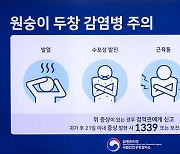 엠폭스 확진 환자 지난 일주일간 16명 늘어…누적 60명