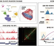 KAIST, 파킨슨병 발병 3차원 게놈 지도 최초 제시