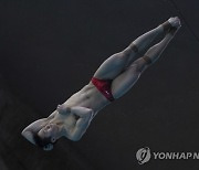 World Cup Montreal Diving