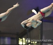 World Cup Montreal Diving