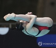 World Cup Montreal Diving