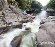 제주도 유네스코 생물권보전지역 로고 활용 제품브랜드 인증