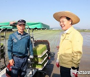 부안군, 9일 행안면서 올해 첫 모내기…9월 상순 햅쌀 수확