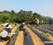 정읍시, 농촌 인력난 해소 유관기관과 농촌일손돕기 추진