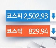 코스피, 2500선 지켜내며 약보합 움직임