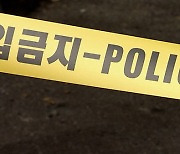 양평 용문산서 '백골 시신' 발견‥실족사 추정