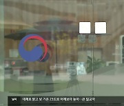 정부 담당 부처 정리 안 돼 ‘관리 사각’