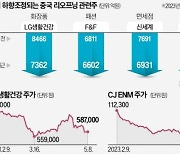 특수 기대 꺾여…中리오프닝 관련주 뒷걸음질