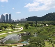 화려한 봄꽃의 향연… 울산 태화강 국가정원 봄꽃축제 19일 개막