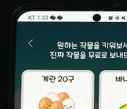 돈 버는 '앱테크', 과일 한 상자가 공짜? [머니줍줍]