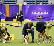 Westminster Dog Show