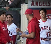 Astros Angels Baseball