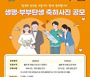 "새로운 생명·부부의 탄생, 서울시내 123개 전광판에 자랑해요"