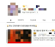 유튜브도 못 잡는 성인 사이트 광고…정부 "즉각 조치"