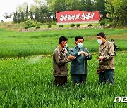 과학농사 강조하는 北…"올곡식 비배관리도 과학적으로"