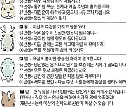 [직장인을 위한 오늘의 운세] 2023년 5월 10일 수요일 오늘의 띠별 운세 (음력 3월 21일)