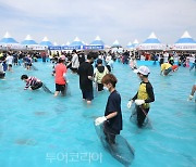 서천 자연산 광어·도미 맛보고 축제 재미에 빠지고! 