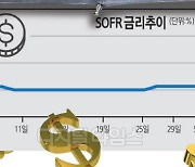 [THE FINANCE] 달러 투자로 안심, 매일 이자 쌓여 든든… 고금리 시대 두 토끼 잡은 ETF 어때요?