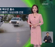 [지구촌 날씨] 뉴질랜드 북섬에 폭우로 홍수