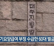 장기요양급여 부정 수급한 60대 벌금형