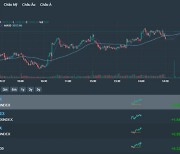 [베트남증시 10일 마감시황] VN지수 4.49p(0.43%) 상승 1,058.26 '대형주 약세에도 중형주 강세에 상승 마감…1060선도 눈 앞'