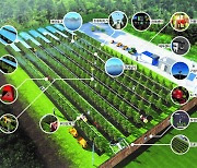 경북도, 전국 최초 ‘사과 스마트 팜’ 공개