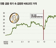 잇따른 뱅크런에 비트코인으로 ‘피난’ [’안전한 위험자산’ 비트코인]