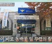 ‘동백꽃’ 촬영 파출소 “옹산 파출소 아니냐며 신고 들어온다”(고두심이)[결정적장면]