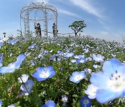 제주, 구름 많다가 차차 맑음…"큰 일교차 유의"