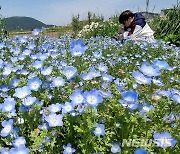 울산 가끔 구름 많음…큰 일교차 주의