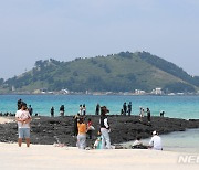 제주 해변을 찾은 사람들