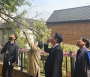 이희원 서울시의원, 동작초 학교시설 점검 통해 위험 수목 제거 긴급 요청