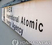 IAEA 건물로 들어서는 관계자들