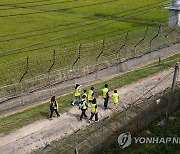 관광공사, DMZ 평화테마공연 페스타 추진…접경지역 관광 활성화