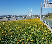 진도군, 꽃피는 쾌적하고 아름다운 경관 조성