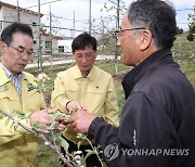 농협, 농가 냉해 피해 복구 지원에 전력