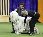 Westminster Dog Show