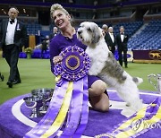 Westminster Dog Show