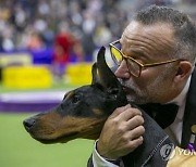 USA NEW YORK WESTMINISTER DOG SHOW