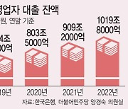 [단독]'자영업 빚 뇌관 터질라' 금융당국, LTI 규제 검토한다