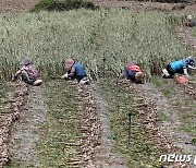 [오늘의 날씨] 제주(11일, 목)…구름 많다가 차차 맑아져