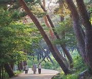 템플스테이의 치유 효과 검증한다…과민성 장증후군 임상실험자 모집