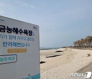 제주 "해변 입양해서 돌봐요"…'반려해변' 활성화로 청정바다 가꾼다