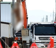 도로 사이로 한우농장 '빽빽'…구제역 추가 확산 우려