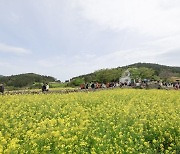 완도군, 청산도 슬로걷기 축제 8만여 명 다녀가