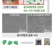 전남대 연구팀, 폴리에틸렌 분해 미생물 발견… “플라스틱 문제 해결 실마리”