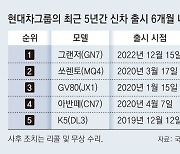 출시 5개월 그랜저 13번째 사후조치… 9번이 SW 관련