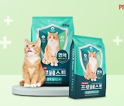 반려묘 면역력 '고양이 박사'가 설계한 제품으로 지키자