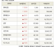 [fnRASSI]장마감, 거래소 상승 종목(평화산업 30.0% ↑)