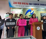 주요 환경단체들 "고래고기 묵인하는 울산고래축제 규탄"